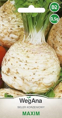 WegAna Maxim Semi di sedano rapa 0,5g Semi, Semi di ortaggi robusti, Semi di ortaggi, Coltivazione di semi