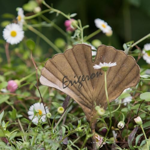 Crocus Collection 18cm Set of 4 Gingko Stake Plant Label Markers Antique Bronze Metal Handfinished Flower Garden Decorations