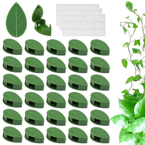 WUSJCOF Attache Plante Grimpante, 30 Pièces Supports Muraux Autocollants, Attaches Invisibles pour Plantes, Support Mural pour Plantes Grimpantes