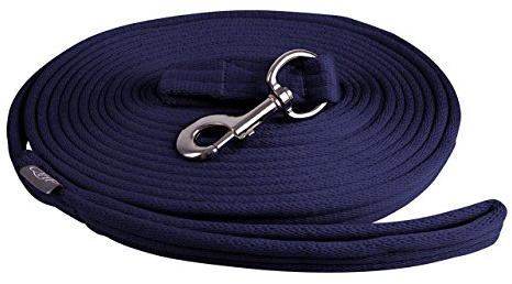 QHP Longierleine Longe – Extra weicher Komfort – 8 m mit praktischer Tasche und großer Schlaufe