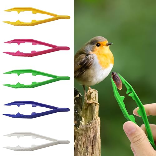 Aestustheri 5PCS - Plastic Tweezers - Reptile Feeding Tongs - Kids Tweezers - Multi-Purpose Craft Tool - Lightweight & Durable (White, Green, Yellow, Blue, Rose Red)