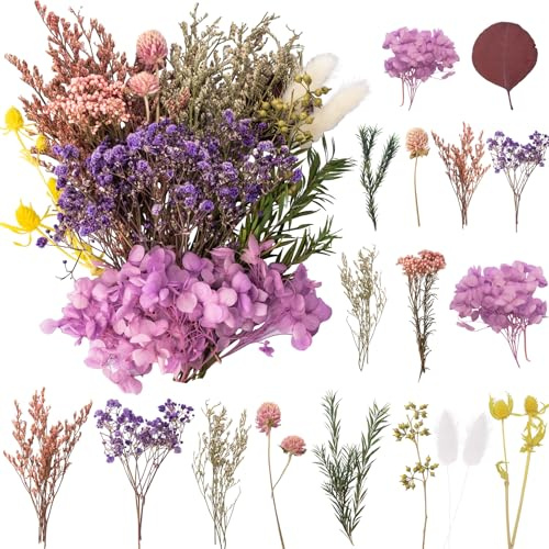 LAUMOE Fleurs Séchées, Fleurs Sechees Naturelles Fleur Séchée pour Bougies Fleurs Sechees Fleurs Séchées Vrac Fleur Sechees Decoration pour Bricolage Résine Epoxyn Art DIY Artisanale Scrapbooking