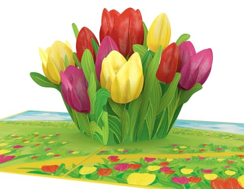 papercrush Pop-Up Blumenkarte Tulpen, 3D Geburtstagskarte für Frauen, Mama | Geschenkkarte als Dankeschön für Sie (Ehefrau, Partnerin & Oma), Gratulationskarte, Mutmacher nach OP, Ich vermisse Dich