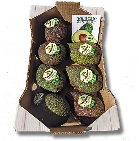 Aguacate Hass Origen Internacional Pack 2 kg - Punto de Maduración (READY) - Aguacates Frescos Seleccionados -Ideales para Guacamole, Tostadas, Ensaladas y Recetas Saludables