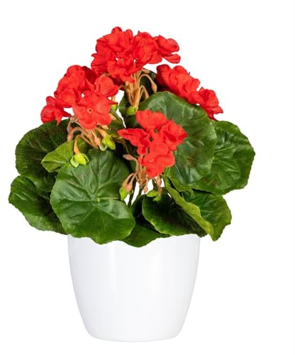 CREATIV green künstlicher Geranien-Busch 24cm in rot I Geranien künstlich mit 5 Blüten in weißem Keramiktopf I künstliche Geranien UV-beständig & realitätsnah I stilvolle Kunstblumen wie echt
