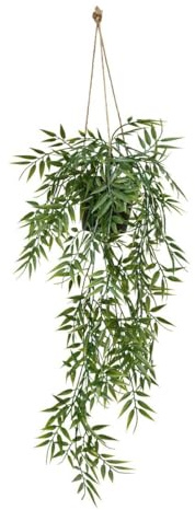 Atmosphera - Planta sups Bambú Liora h67