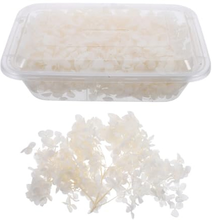Angoily Kit de Pétalos Naturales Secos de Hortensia White para Decoración Elegante en Fiestas y DIY, 20g