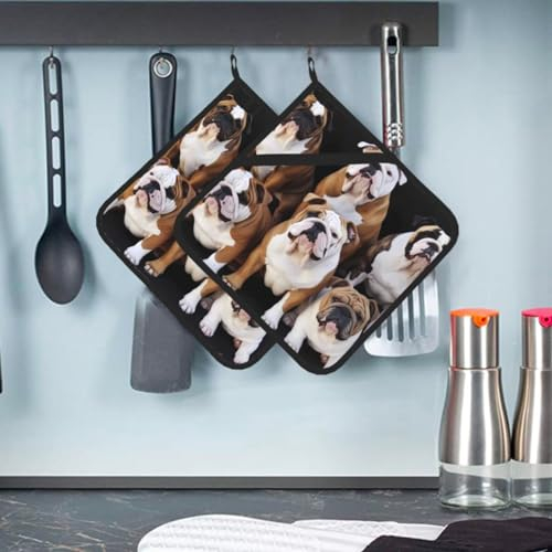 Hitzebeständiger Topflappen 2er Set Küche Topflappen für Mikrowelle Kochen Englische Bulldoggen Topflappen Ofen Hot Pads Waschbar Topflappen zum Backen Quadratischer Untersetzer für BBQ mit