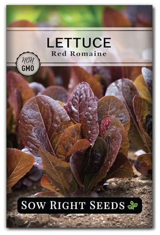 Sow Right Seeds - Red Romaine Lettuce Seeds for Planting - Non-GMO Heirloom Packet with Instructions to Plant a Home Vegetable Garden - Outdoors or Hydroponics Indoors - Crispy Tasty Leaf (1)