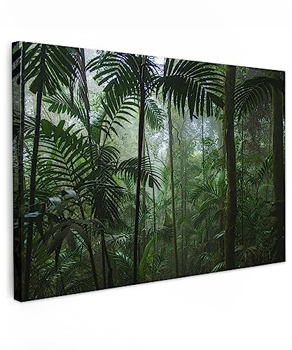 MuchoWow© Leinwand Bilder Groß XXL Wanddeko Wohnzimmer Aesthetic Room Decor | 120x80 cm - Deko Zimmer Wandbilder Modern Fotogeschenke Regenwald - Dschungel - Bäume - Pflanzen - Natur - Grün