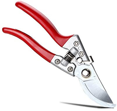 Tijeras para Manualidades, podadoras para huerto, Tijeras de podar, Tijeras para Recoger Frutas, Tijeras para Recortar Ramas, arbustos, bonsái, Herramientas de jardinería, Tijeras