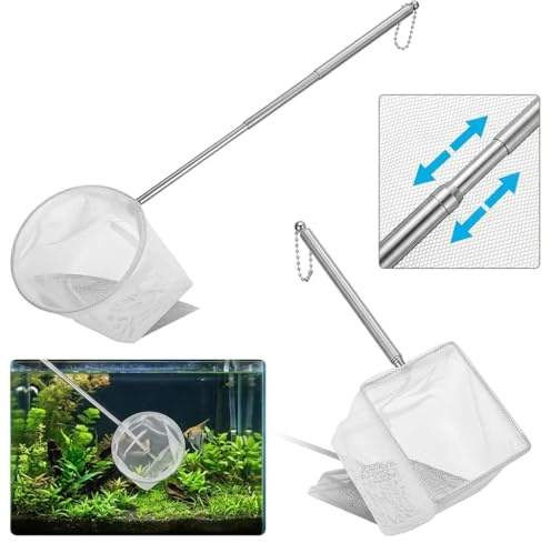 2 Stück Kescher Aquarium Fischnetz,8/10cm Kleines Aquarienkescher Zubehör,Mini Aquarium Garnelen Fischernetz,Klein Mit Ausziehbarem Metallgriff,Garnelen Fangnetz,für Kleine Teiche,Fischbecken,Pools