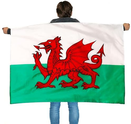 Wales Wearable Flag Cape - Welsh Fancy Dress - Football, Rugby - Sporting Events, St Davids Day Street Parties, Festivals and Celebrations