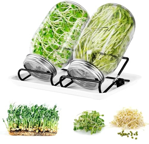 Sprossenglas Keimglas Set 1000ml,Keimglas für Sprossen Anzuchtset Sprouting jar mit Deckeln und Wasserschale,aus Edelstahl 304 und 2 Ständer,für Alfalfa Brokkolisprossen Mungobohnen (2er Set)