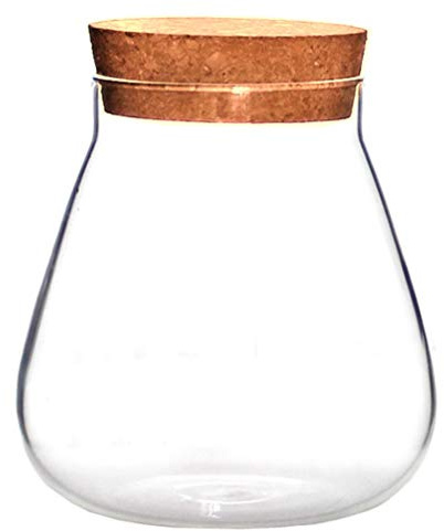 HEMOTON Bocal à épices en verre avec bouchon en liège - Pour terrarium, plantes succulentes, micro paysage, vase à bulle transparent pour bricolage, bricolage, bouteille de dérive (marron clair)
