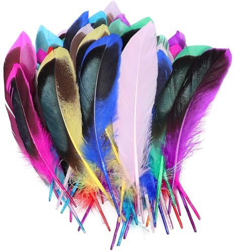 Acooruiteng Federn Zum Basteln Flauschig und Weich Feder Feather Bastelfedern Bunte Federn für DIY Ohrring Hochzeit Traumfänger Kopfschmucksfedern Schulhandwerk 50 Stück