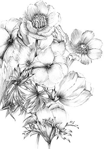 Komar XXL 2-1035 Embroidery Papier peint photo non tissé Motif floral 184 x 248 cm