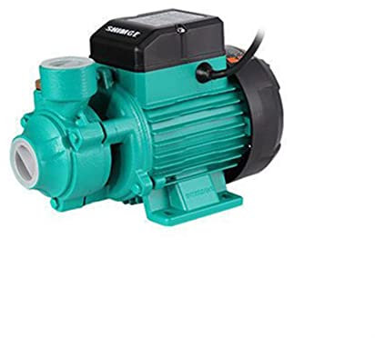 wrtgerht Mini-Pompe à Petite Puissance de Haute qualité 22 0V 370W Pompe à Eau d'auto-emprime ménage