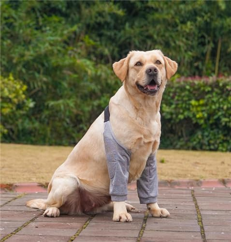 Taicols Hunde-Regenerationsmanschette für Vorderbeine, Ellenbogenschutz für Hunde, Stütze, Ellenbogen, Schutz, Beinschutz für Hunde