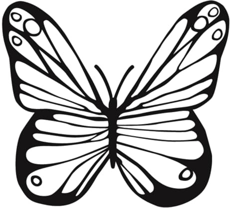 Inkster Tattoo Feiner Schmetterling | NEU: Verbesserte Qualität | Hautfreundlich & EU Kosmetikzertifiziert | hochwertige Temporäre Tattoos aus pflanzlichen Inhaltsstoffen | wasserfest