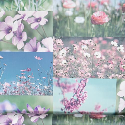 SOPHIE LAURENCE Heather Pink Floral Wallpaper - Flower Photographic Collage Abstract Non Woven Paste The Paper for Kitchen, Living Room, Bedroom