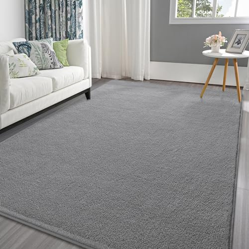 Pettop 4x6 ft Grey Area Rugs for Bedroom Living Room, Washable Memory Foam Indoor Carpet, Modern Aesthetic Minimalist Non Slip Soft Comfy Carpet for Boys Girls Dorm Home Decor