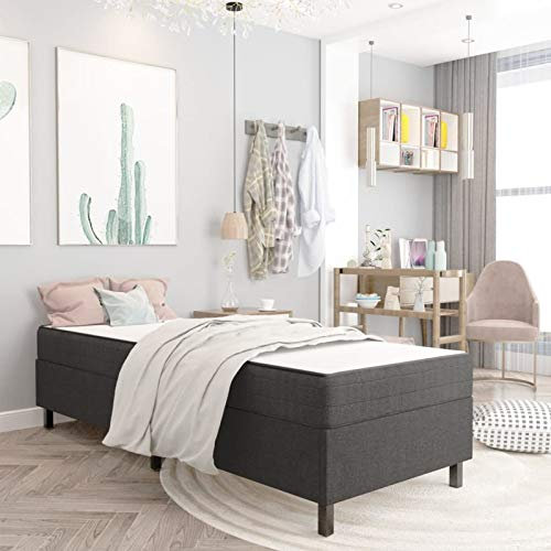 Rantry Boxspringbett Boxspring Bettgestell Bettrahmen Bettgestell Einzelbett | Doppelbett Rahmenbettgestell Jugendbett Gästebett Grau Stoff 90x200 cm Bett für Schlafzimmer