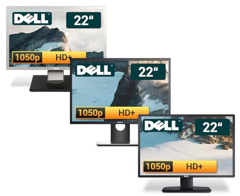 Dell 22 Zoll Business Computer Monitor, Desktop Gaming Monitor, HD+ (VGA - DVI - VESA), PC Bildschirm, schwarz/Silber (Generalüberholt)
