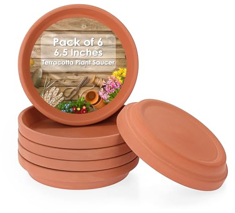 OLegei 6pcs Soucoupe pour Plantes en Terre Cuite soucoupes Rondes pour Plantes et Les Pots de Fleurs de 6/6.5/7 inch avec Trou de Drainage (16,5cm)