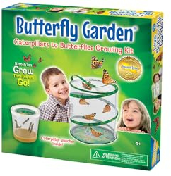 Insect Lore Butterfly Garden (Packaging May Vary)