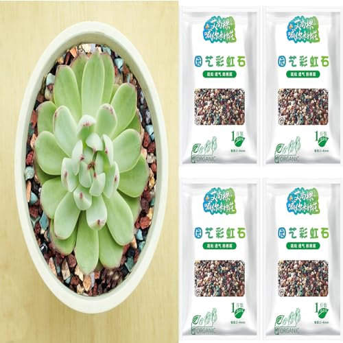 2 Kg Guijarros Bonsai, Mezcla De Piedras De Horticola Guijarros De Piedra Pómez para Cactus, Decorativa para Drenaje De Volcánica para Terrario