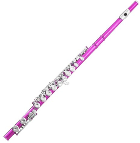 Flöteninstrumente Für Erwachsene 16 Geschlossene Löcher C Ton Vernickelte Flöte E Taste Professionelle Leistung Langlebig(Rose Red)