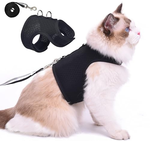 Katzengeschirr und Leine zum Spazierengehen, ausbruchsicher, atmungsaktives Netzgewebe, einfarbig, schwarz, Größe M, verstellbares Katzen-Spaziergeschirr, gepolsterte, stilvolle Katzenweste