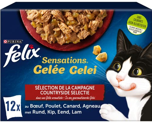 FELIX | Känslor | Vuxen katt | Jelly landsbygdsval: nötkött, kyckling, lamm, anka | 100% komplett och balanserad våtmat | färska påsar | 6 st (12 x 85 g)