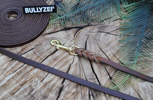 Lederleine geflochten Antik-Braun 10mm Messing Führleine, Schleppleine (3 Meter mit Schlaufe)