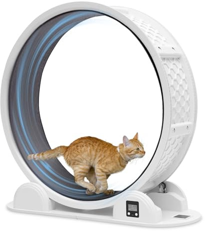 FASNATI Katzenlaufrad aus ABS bis 25 kg, leise mit Solar-Laufstreckenzähler | Schraubenlose Klick-Montage, abnehmbare Plüsch-Lauffläche, 97 cm Innendurchmesser für große Katzen
