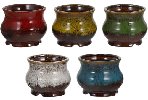 Toyvian Lot de 5 Pots en Céramique Multicolores pour Plantes Grasses Jardinières Drainage pour Succulentes Cactus et Tillandsias Décoration Intérieure et Extérieure Jardin et Maison