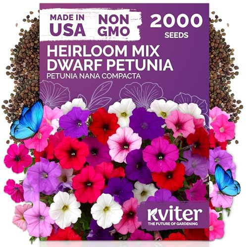 KVITER 2,000 Mix Dwarf Petunia Seeds for Planting Flowers (Nana Compacta) — Mini Petunia Flower Seeds, Annual, Organic & Non GMO — Beds, Hanging Baskets, Containers, Outdoor & Indoor Garden