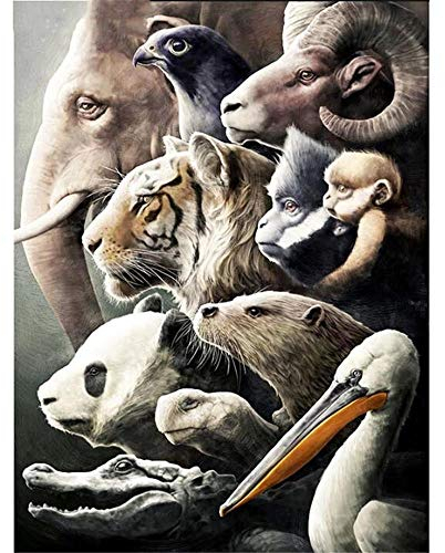 YINGXIN88 Diamant Malere Kits,Stück DIY 5D Diamond Painting Bilder Arts Strass Stickerei Kreuzstich Kits Diamond Dekoration für Haus, Wand und Eingang Mehrere Tiere-60x60cm
