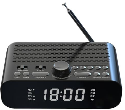 CRGANGZY Radio portátil Dab FM BT Pantalla LED Radio Digital Radio con batería Radio Reloj Recargable para el hogar Regalo al Aire Libre
