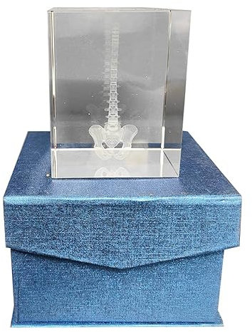 Briefbeschwerer, 3D-Kristall, Menschenwirbelsäule, anatomisches Modell, lasergeätzt, in Kristallglaswürfel, Wissenschaftsgeschenk, 7,9 x 7,9 x 9,4 cm