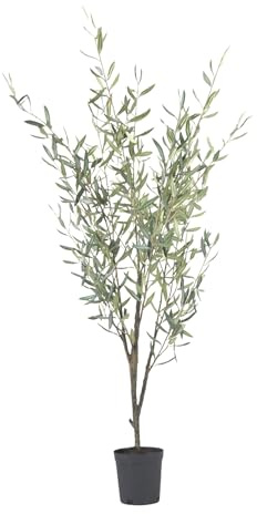 Plant in a Box - Árbol de olivo artificial – Altura 150 cm