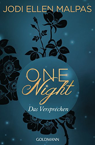 One Night - Das Versprechen: Erotischer Roman (Die One Night-Saga 3)