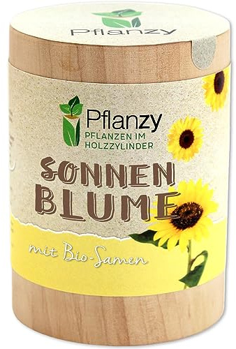 Feel Green Pflanzy Sonnenblume, Bio Samen, Nachhaltige Geschenkidee (100% Eco Friendly), Grow Your Own/Anzuchtset, Pflanzen im Holzzylinder, Made in Austria