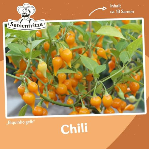 Chili Biquinho gelb Samen
