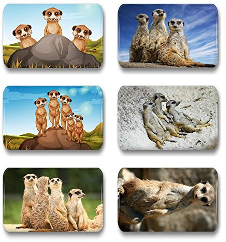 Merchandise for Fans Erdmännchen - 6 rechteckige Kühlschrankmagnete 7X 4,5 cm - 02 für Memoboard Pinnwand Magnettafel Whiteboard