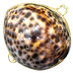 VOSAREA 1 Stück Schmuckschatulle klein Muschel Ohrring Organizer eingelegte Schmuckschatulle Schmuckaufbewahrung für Zuhause Besondere Anlässe - 6,5cm