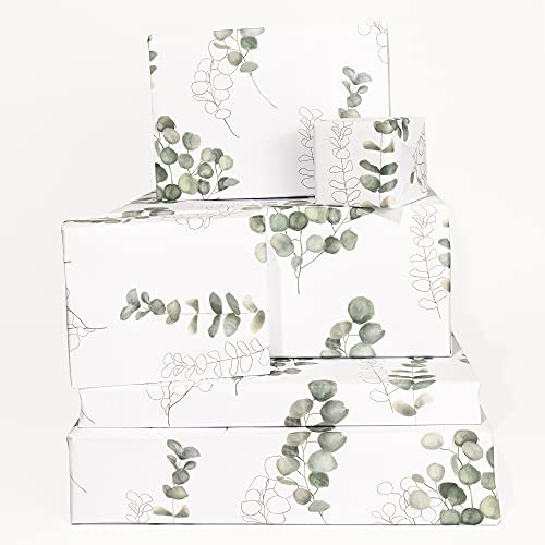 Central 23 - Bonito Papel de Regalo para Ella - 6 Hojas de Papel de Regalo - Para Hombres Mujeres - Eucalipto - Verde Blanco - Reciclable
