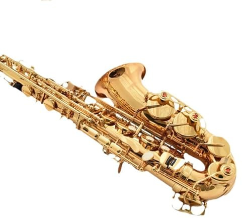 Saxophone für Anfänger Altsaxophon im Performance Stil in Es für Anfänger und Erwachsene
