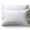 Cojines Sofa 30x50 Almohadones 2 Unidades Decorativos Relleno Cojin Hipoalergénico Antiácaros y Suave Cuadrado con Funda Exterior Almohada Respirable en Cotton/Polyest. Blanco Extraíble y Lavable